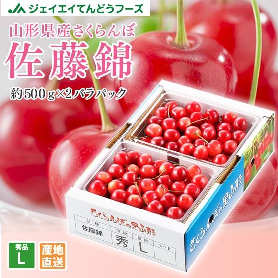 【予約受付】6/5~順次出荷　秀品[Lサイズ/1kg(約500g×2)]山形県産さくらんぼ 佐藤錦