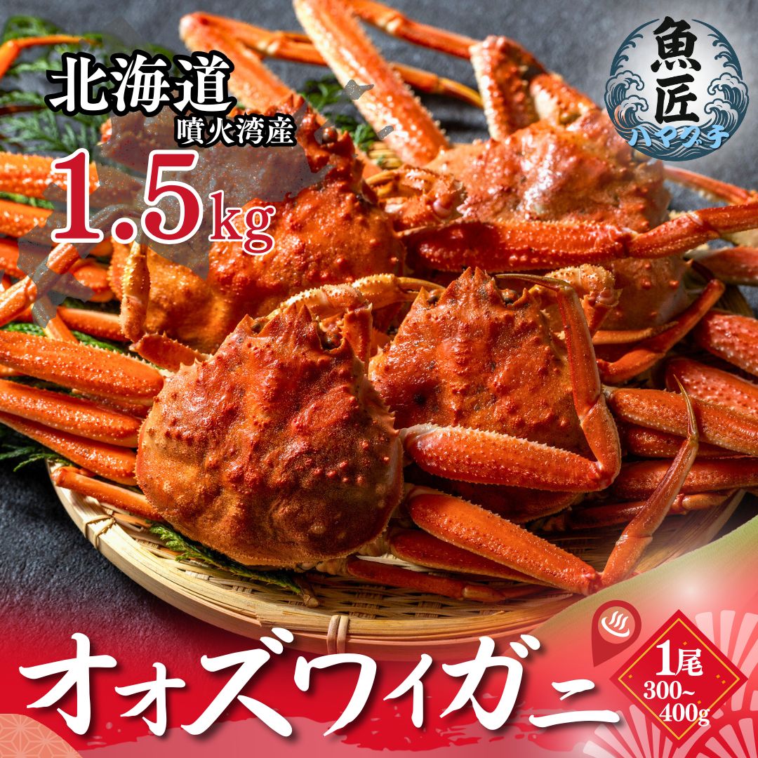 【北海道産】 オオズワイガニ 1.5kg 姿 ボイル （3-6尾）