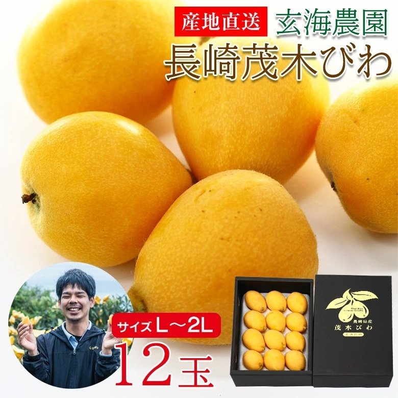 【予約受付】4/15~順次出荷【12玉/L・2Lサイズ】長崎茂木びわ 化粧箱入り