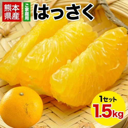 【1.5kg】はっさく柑 (八朔・紅八朔)※ご家庭用（傷あり サイズ不選別）