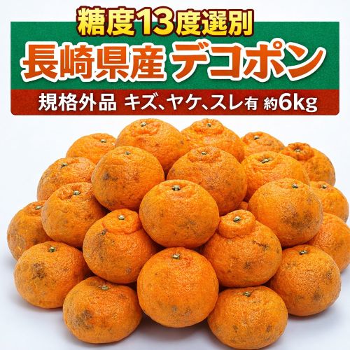 【約6kg】規格外品 長崎県産 糖度13度選別「デコポン」(キズ、ヤケ、スレ有り)