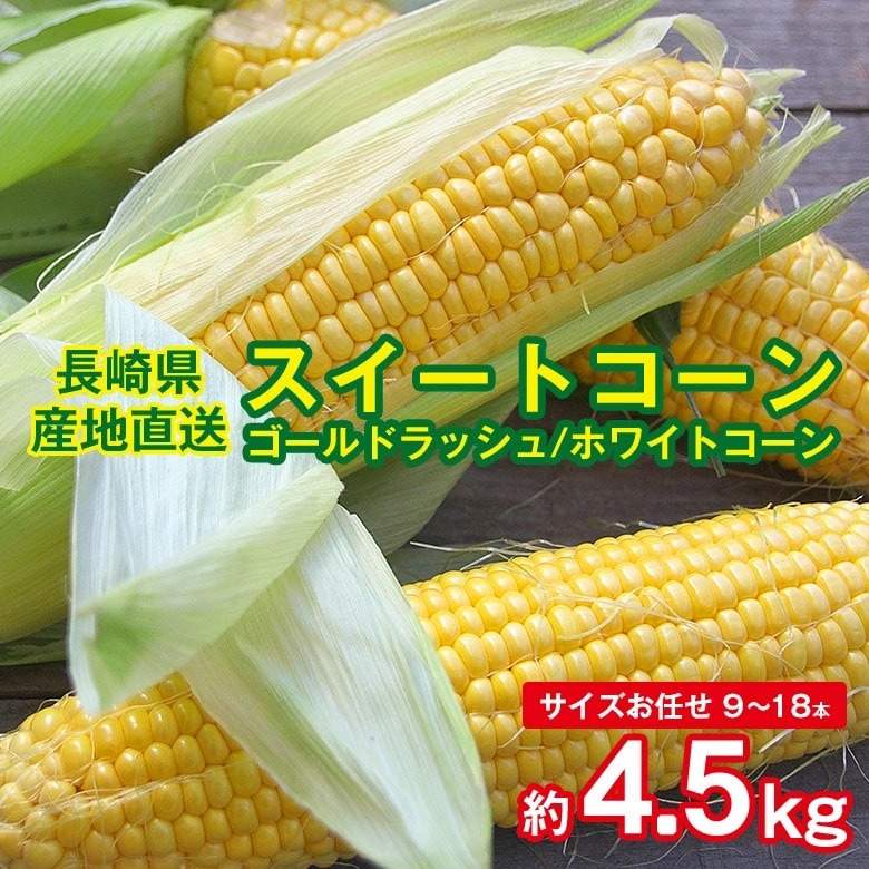 【予約受付】5/20~順次出荷【約4.5kg(9~18本)】朝採れスイートコーン【冷蔵】