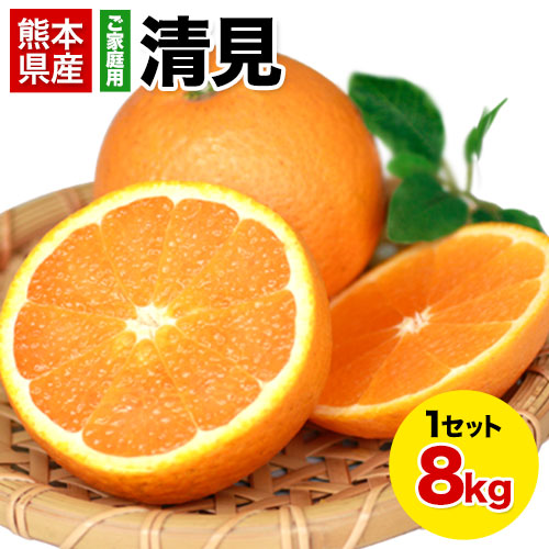 【8kg】清見※ご家庭用（傷あり サイズ不選別）