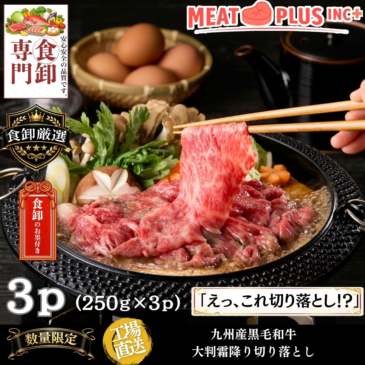 【計750g/250g×3P】九州産黒毛和牛 霜降り大判切り落とし 《感謝とねぎらいを込めて》