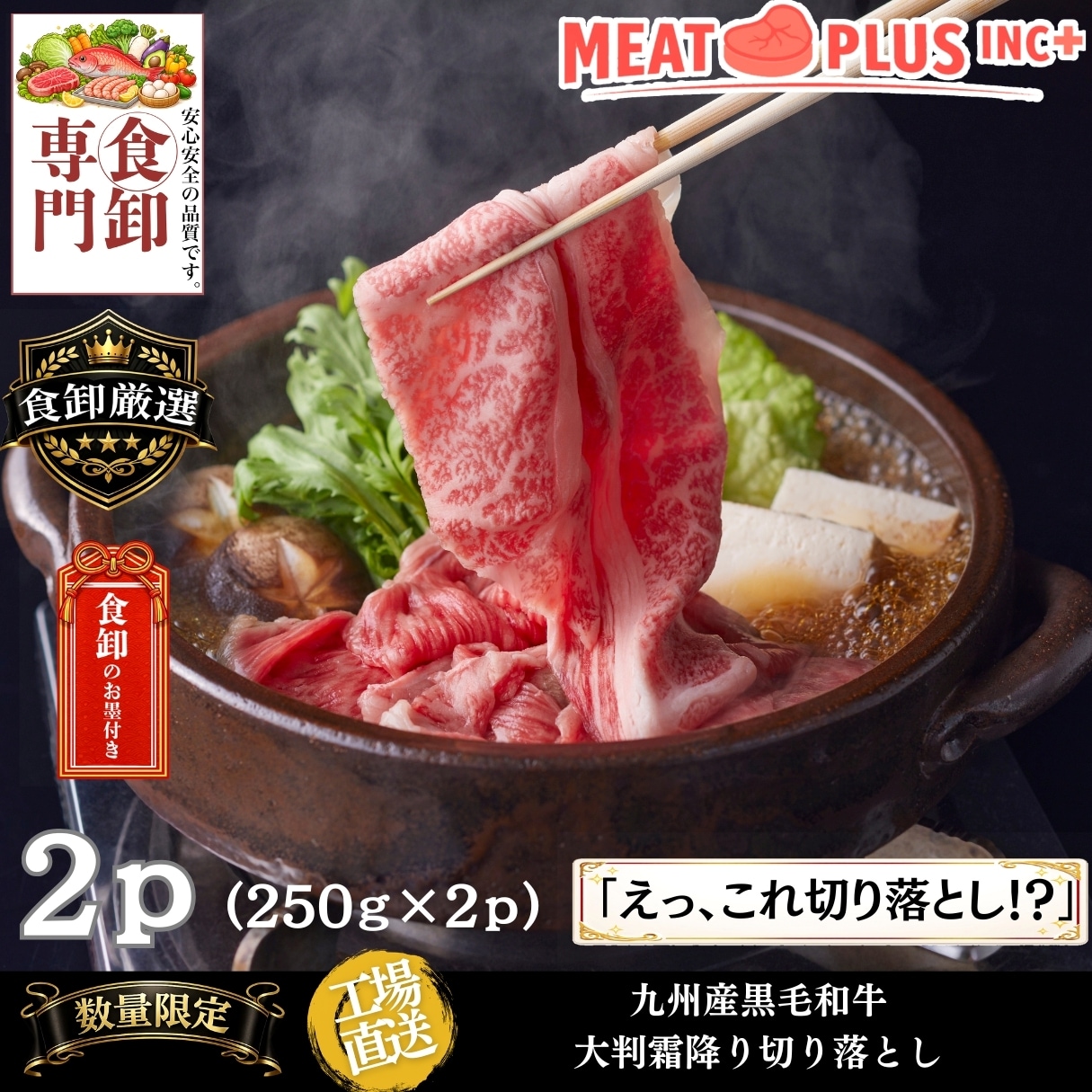 【計500g/250g×2P】九州産黒毛和牛霜降り大判切り落とし《毎日のごはんが贅沢に！》