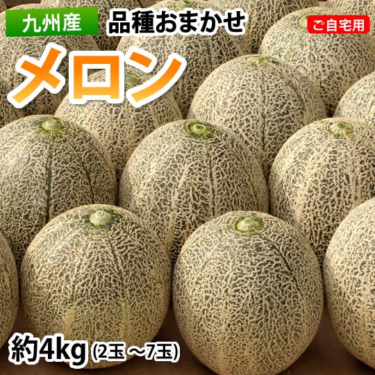 【予約受付】5/22~順次出荷【2~7玉 約4kg】九州産 メロン 品種おまかせ ご自宅用