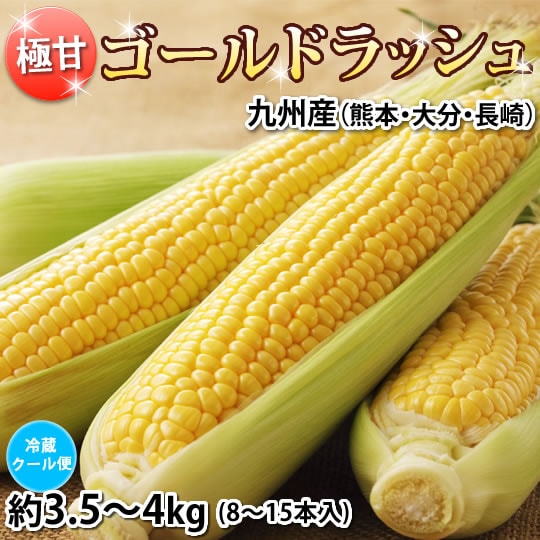【予約受付】6/2~順次出荷【約3.5~4kg】ゴールドラッシュ とうもろこし 九州産