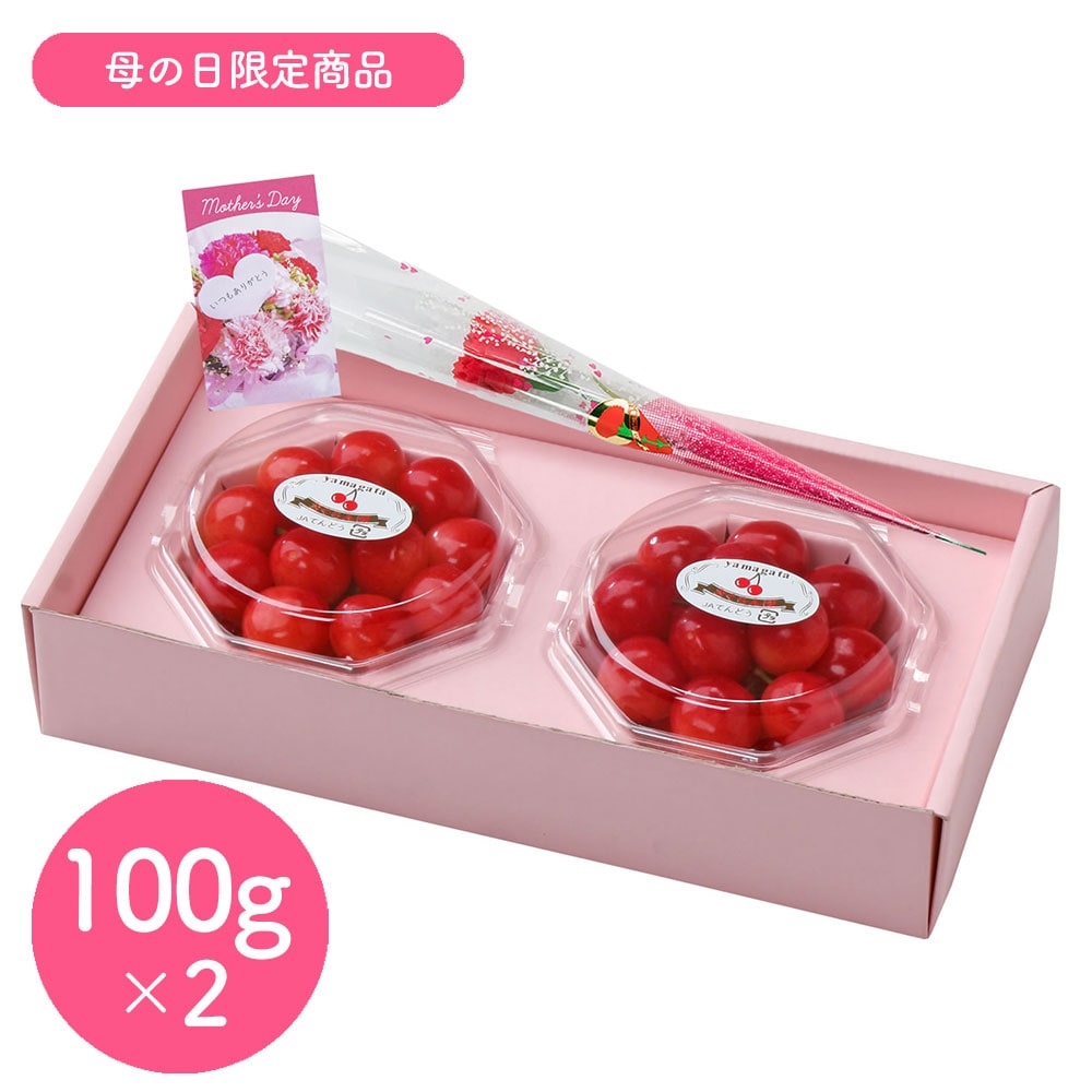 【予約受付】5/7~順次出荷【100g×2】山形県産ハウスさくらんぼ佐藤錦ダイヤパック母の日セット