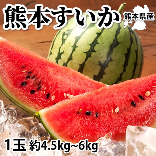 【予約受付】6/2~順次出荷【1玉 約4.5~6kg】熊本県産 すいか(ご家庭用・傷あり)