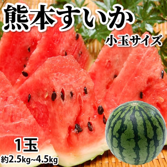 【予約受付】6/2~順次出荷【1玉 約2.5~4.5kg】熊本県産 すいか(ご家庭用・傷あり)