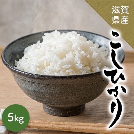 【5kg】 令和7年産 滋賀県産 コシヒカリ  単一原料米(精米)