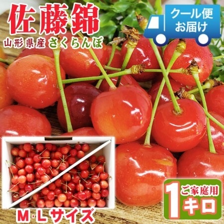 【予約受付】6/5~順次出荷 【1kg】山形県産さくらんぼ 佐藤錦 M、L ご家庭用(クール便)