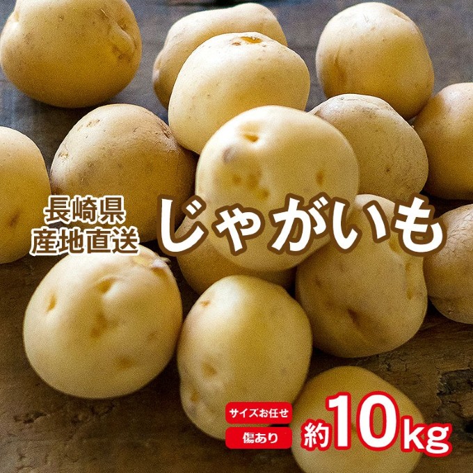 【予約受付】6/1~順次出荷【約10kg】新じゃが 長崎県産じゃがいも(ご家庭用、傷あり)