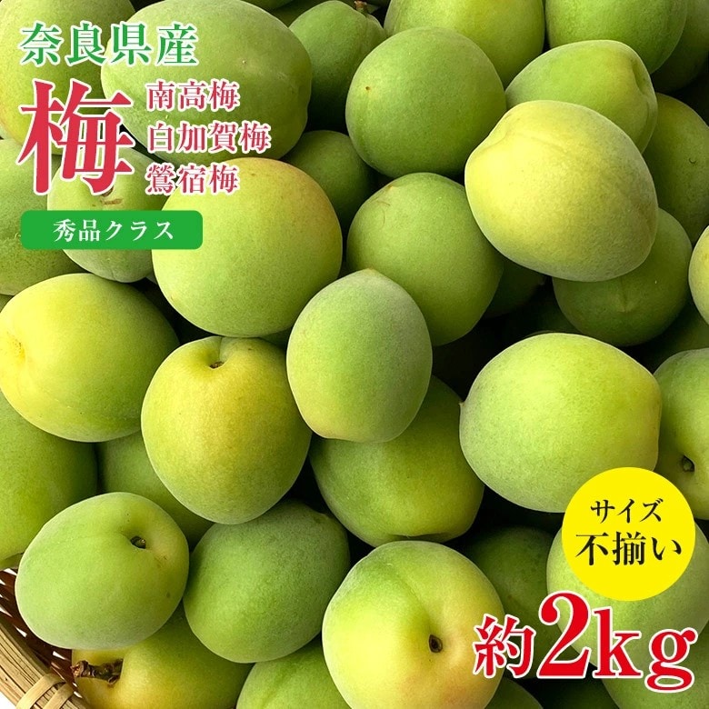 【予約受付】6/10~順次出荷【約2kg】南高梅 秀品