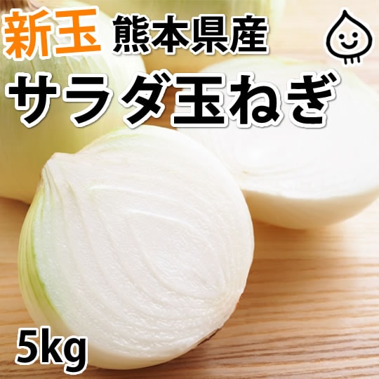 【約5kg】熊本県産 サラダ玉ねぎ
