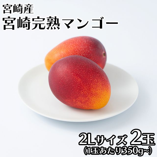 【宮崎】2L2玉　完熟マンゴー