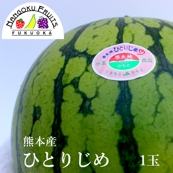 【予約受付】5月上旬~順次出荷【熊本】1玉　小玉すいか「ひとりじめ」