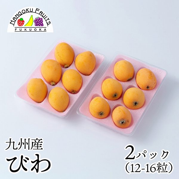 【九州】 2パック　枇杷(びわ)
