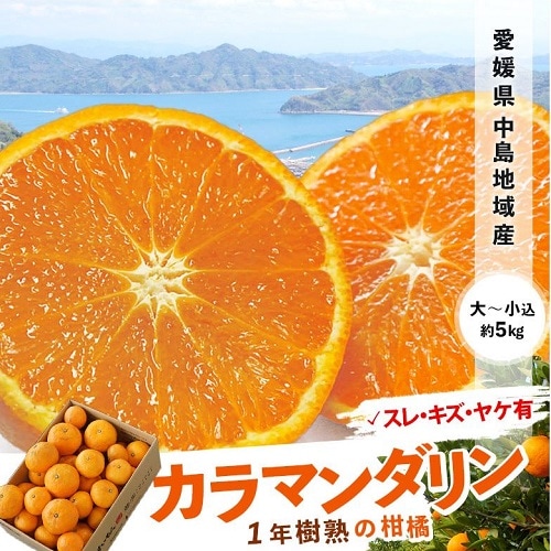 【約5kg(目安として35－50玉)】愛媛県中島地域産 カラマンダリン