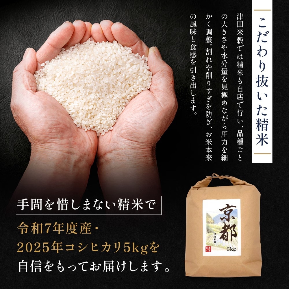 【5kg】津田米穀 五つ星お米マイスター監修 藤野さんが育てたコシヒカリ