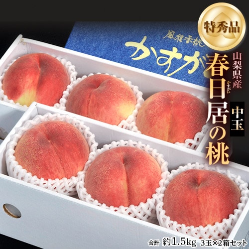 【予約受付】6/20~順次出荷【計約1.5kg(中玉3玉×2箱)】山梨直送『春日居の桃』特秀品
