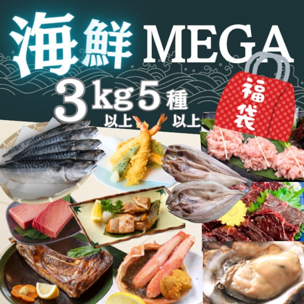 【3kg以上5種以上】海鮮MEGA盛り福袋  家計応援セット（まぐろ・鯨・牡蛎・焼き魚等々）