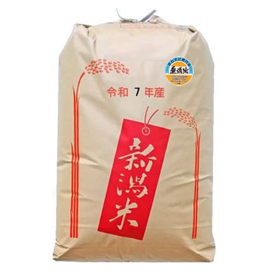 【30kg】 令和7年産 おいしいもち米 新潟県産わたぼうし 無洗米