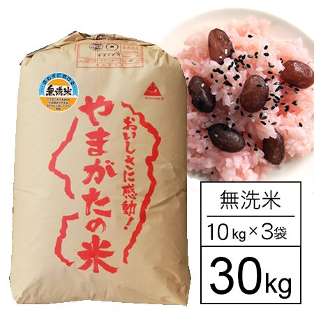 【30kg】令和7年産 もち米 山形県産 ヒメノモチ 無洗米