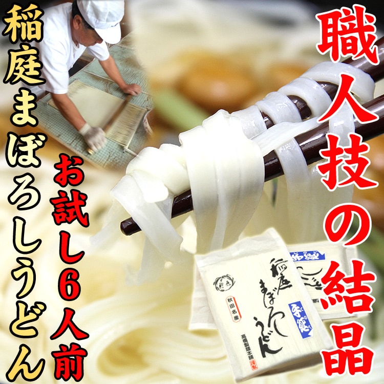 【計600g/300g×2パック】秋田名産 稲庭うどん 手延べ