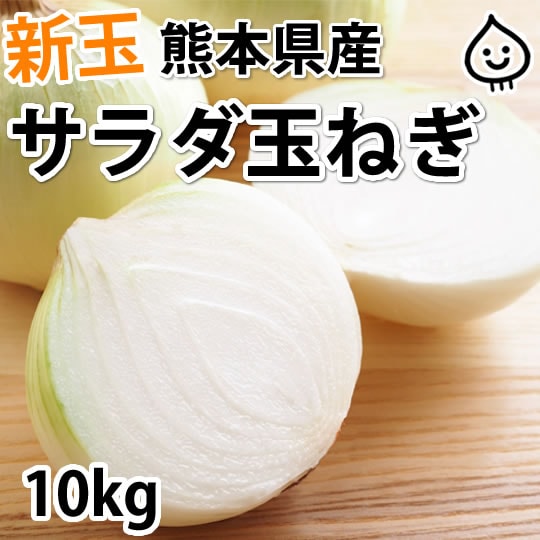 【約10kg】熊本県産 サラダ玉ねぎ