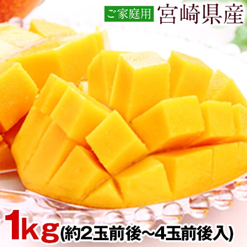 【1kg】本場宮崎県産 完熟マンゴー※ご家庭用（傷あり サイズ不選別）