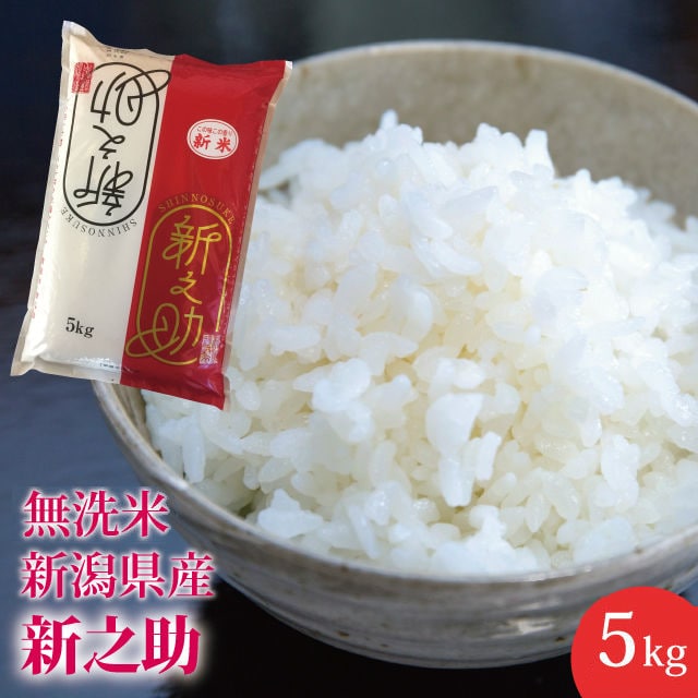 【5kg(5kg×1)】無洗米新潟県産 新之助≪令和7年産≫