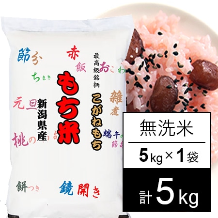 【5kg】令和7年産 もち米 新潟県産 こがねもち 無洗米