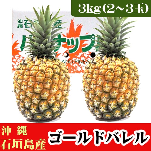 【予約受付】5/25~順次出荷【3kg(2~3玉)】石垣島産パイン「ゴールドバレル」
