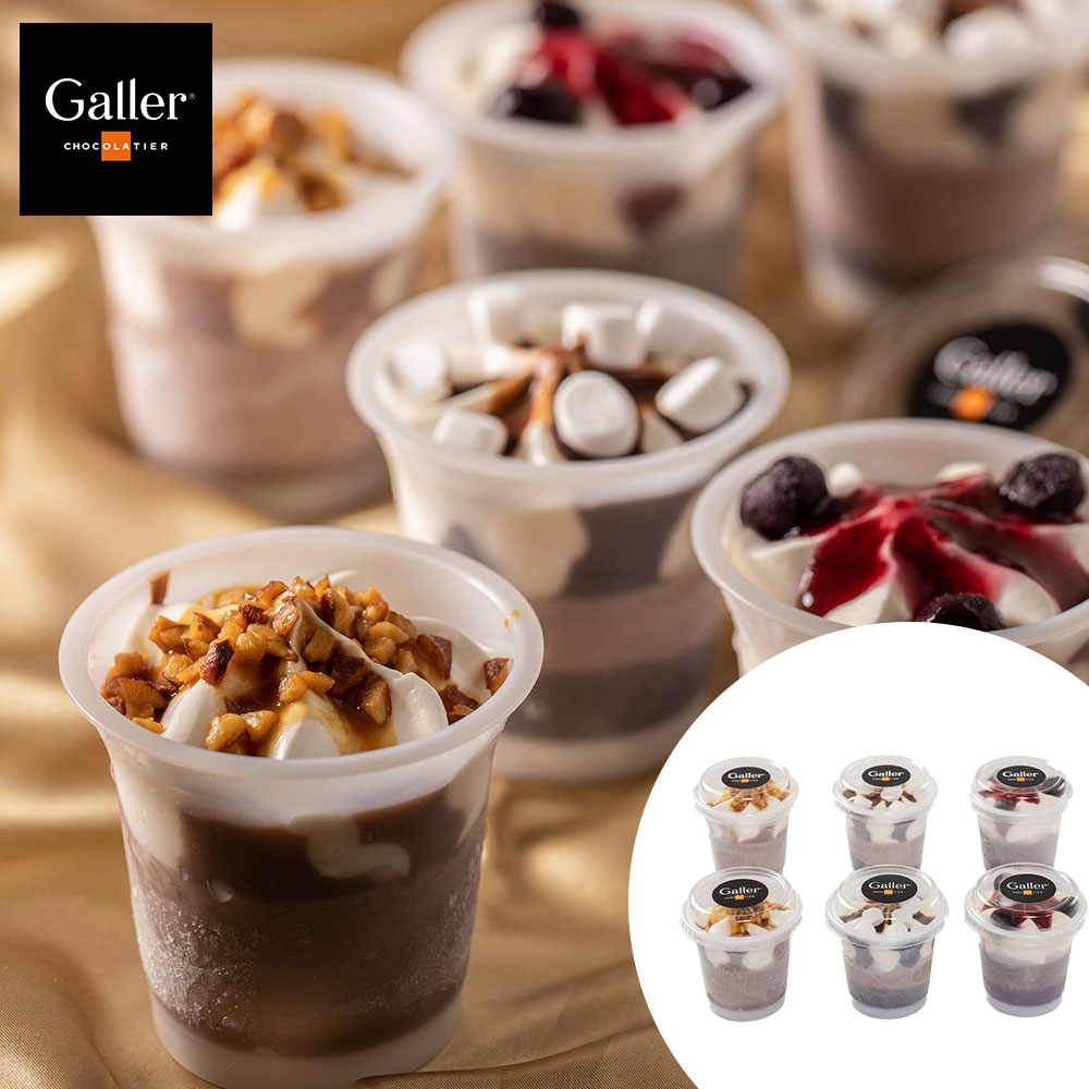 【3種計6個】「Galler」監修 ガレー チョコレートアイスパルフェ
