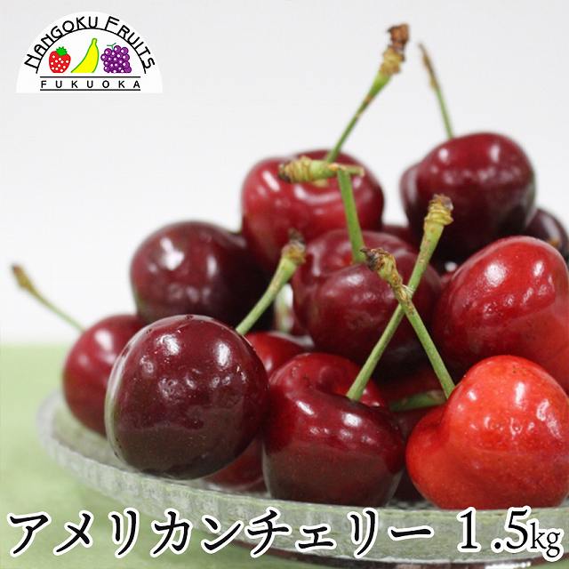 【アメリカ】1.5kg  アメリカンチェリー