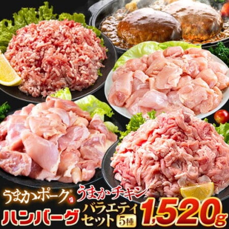 【日替わり数量限定】【5種/計1520g】 お肉5種 大容量バラエティセット【先行チケット利用NG】