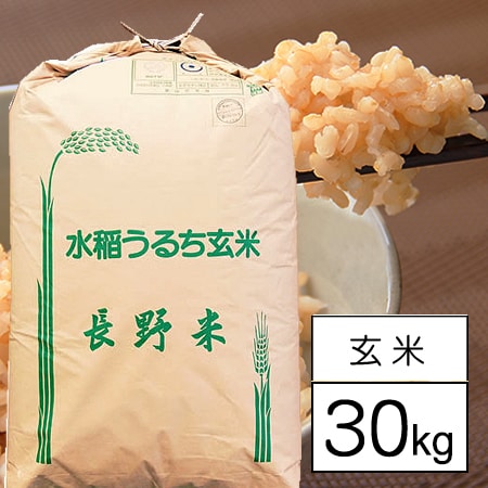 【30kg】令和7年産 長野県佐久産コシヒカリ 1等玄米