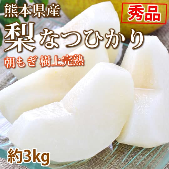 【予約受付】7/21~順次出荷【約3kg 7~11玉】熊本県産 梨 なつひかり 秀品