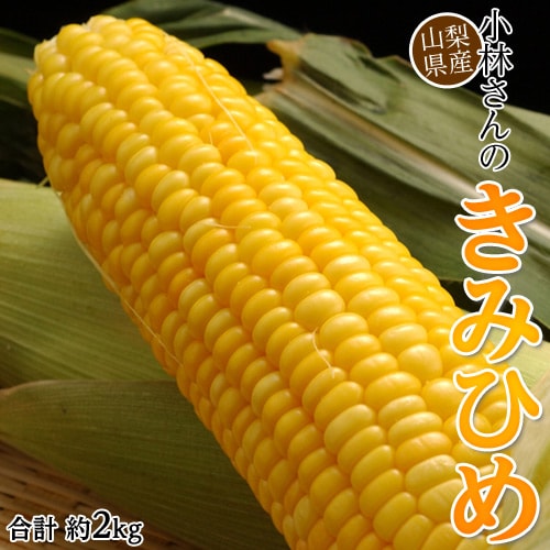 【予約受付】6/15~順次出荷【約2kg/5本前後】山梨県産トウモロコシ 小林さんの『きみひめ』