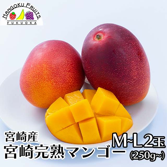 【宮崎】M~L2玉　完熟マンゴー