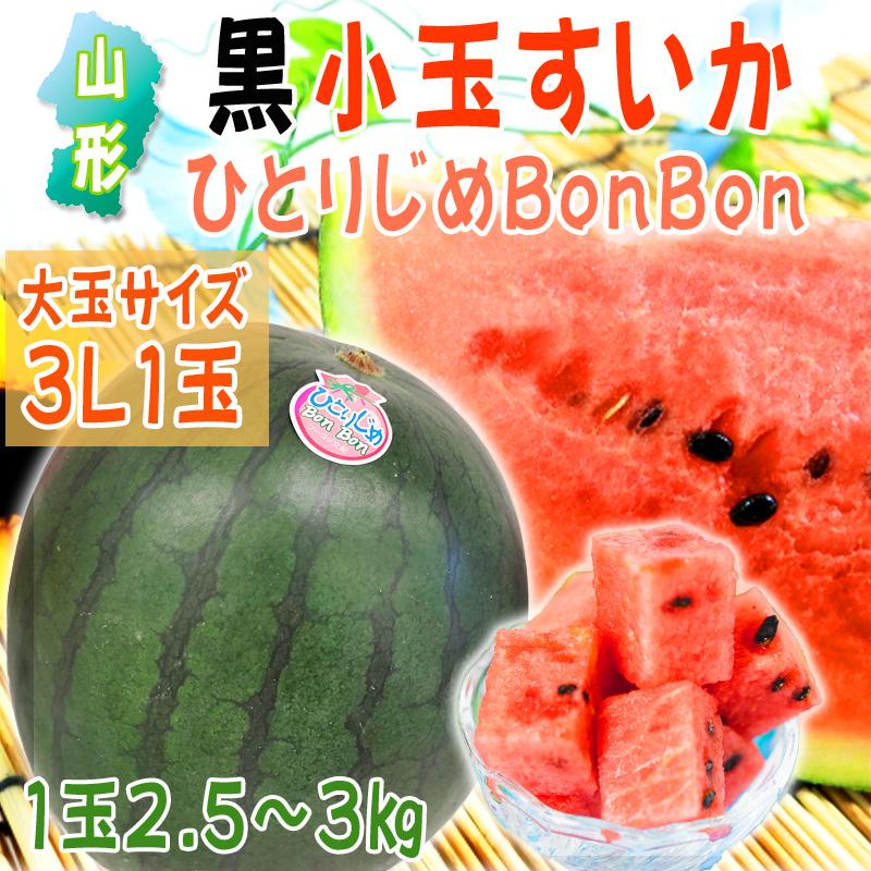 【予約受付】7/20~順次出荷【3L/1玉】山形県産 黒小玉すいか ひとりじめbonbon