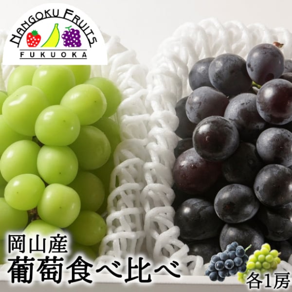 【予約受付】7月中旬~順次出荷【岡山】ぶどう食べ比べ（ピオーネ＆シャインマスカット）