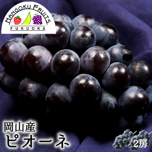 【予約受付】7月中旬~順次出荷【岡山 】2房　ピオーネ