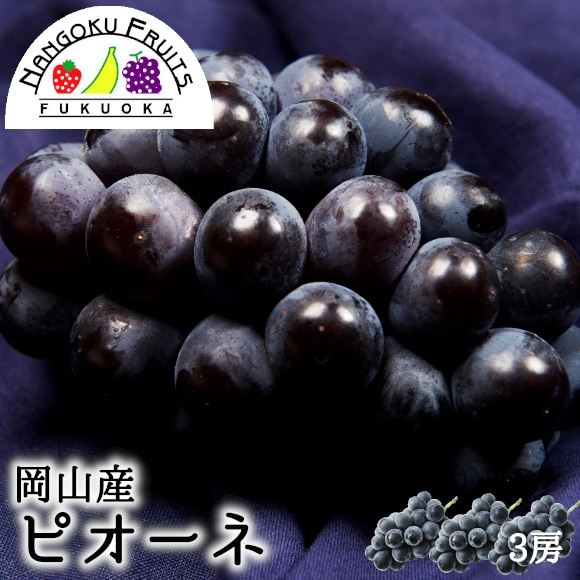 【予約受付】6月下旬~順次出荷【岡山 】3房　ピオーネ