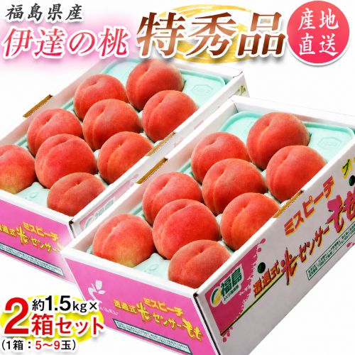 【予約受付】7/5~順次出荷【合計約3kg(約1.5kg×2箱)】《特秀品》 福島県産 伊達の桃