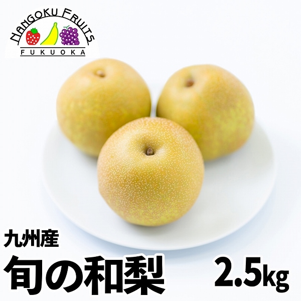 【予約受付】7月下旬~順次出荷【九州】 2.5kg 旬の和梨