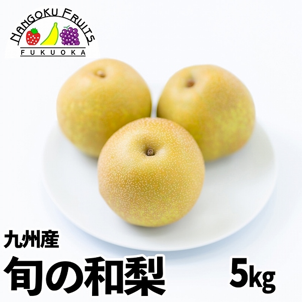 【予約受付】7月下旬~順次出荷【九州】 5kg 旬の和梨