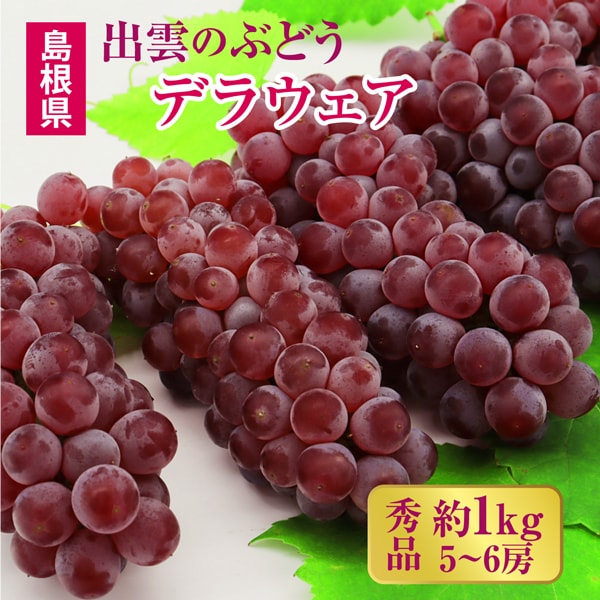 【予約受付】7/1~順次出荷【秀品 約1.0kg(5~6房)】島根県出雲市産 デラウェア