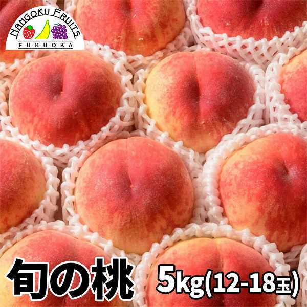 【予約受付】6月下旬~順次出荷【山梨 他】5kg　旬の桃